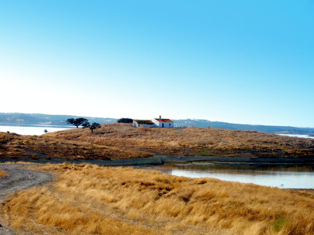 people walking on brown field near sea during daytime