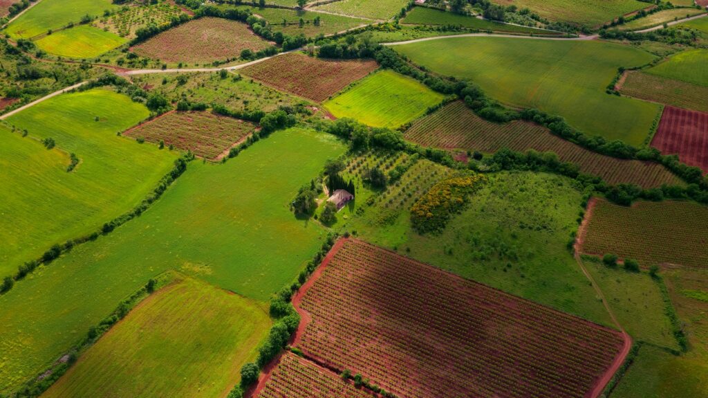 aerial view of green grass field