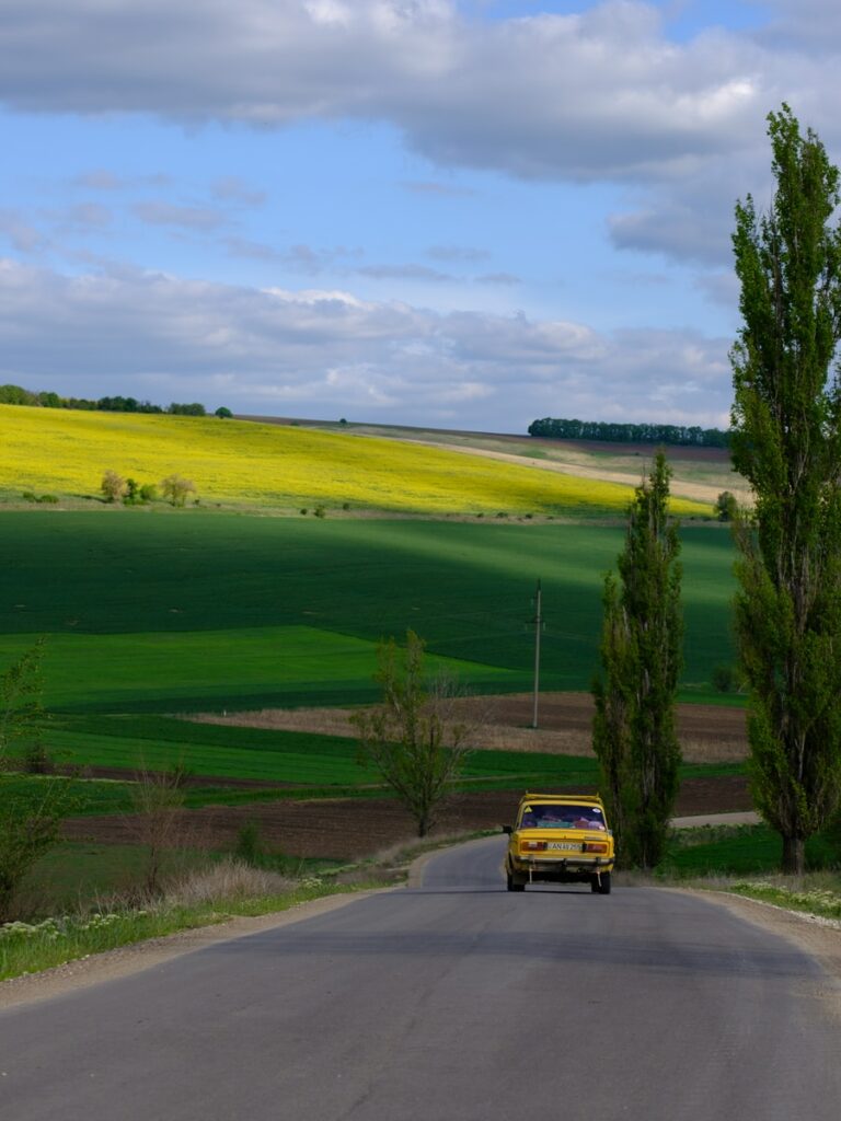 black chevrolet car on road near green grass field during daytime