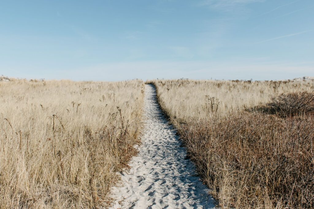 sand pathway surrounding grass