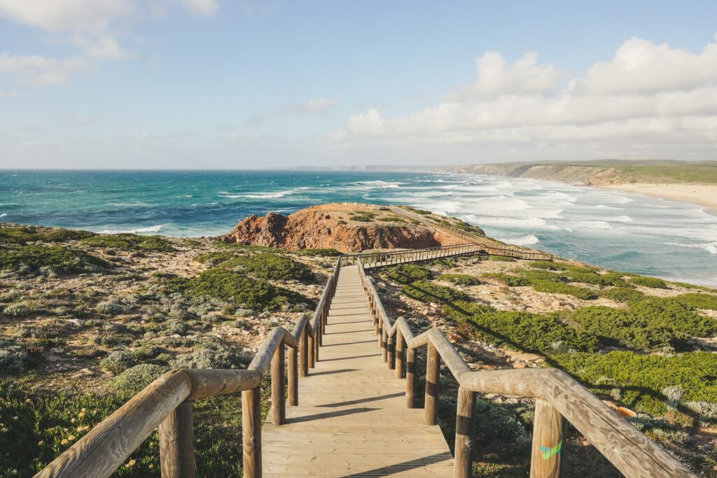 photography of seashore during daytime