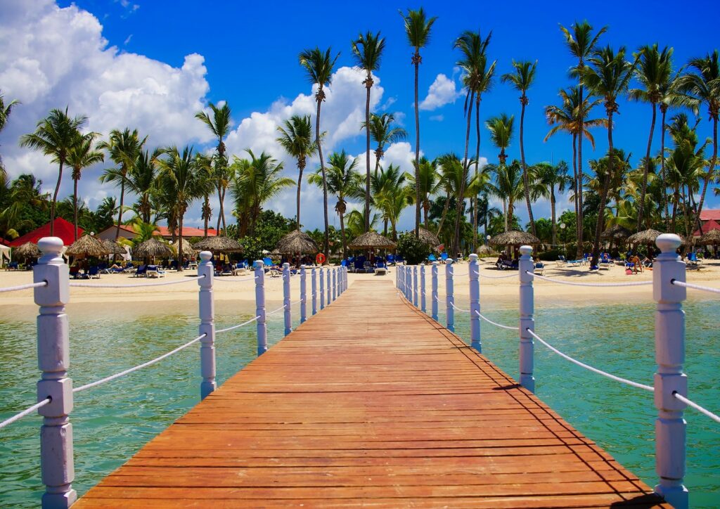 View of Palm Trees on Beach