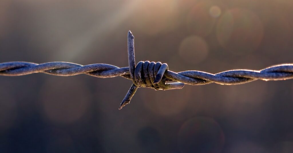 pasture fence, barbed wire, fencing