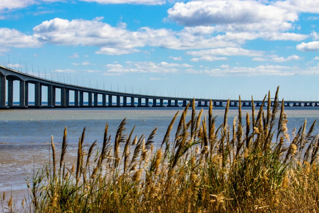 a bridge over a body of water