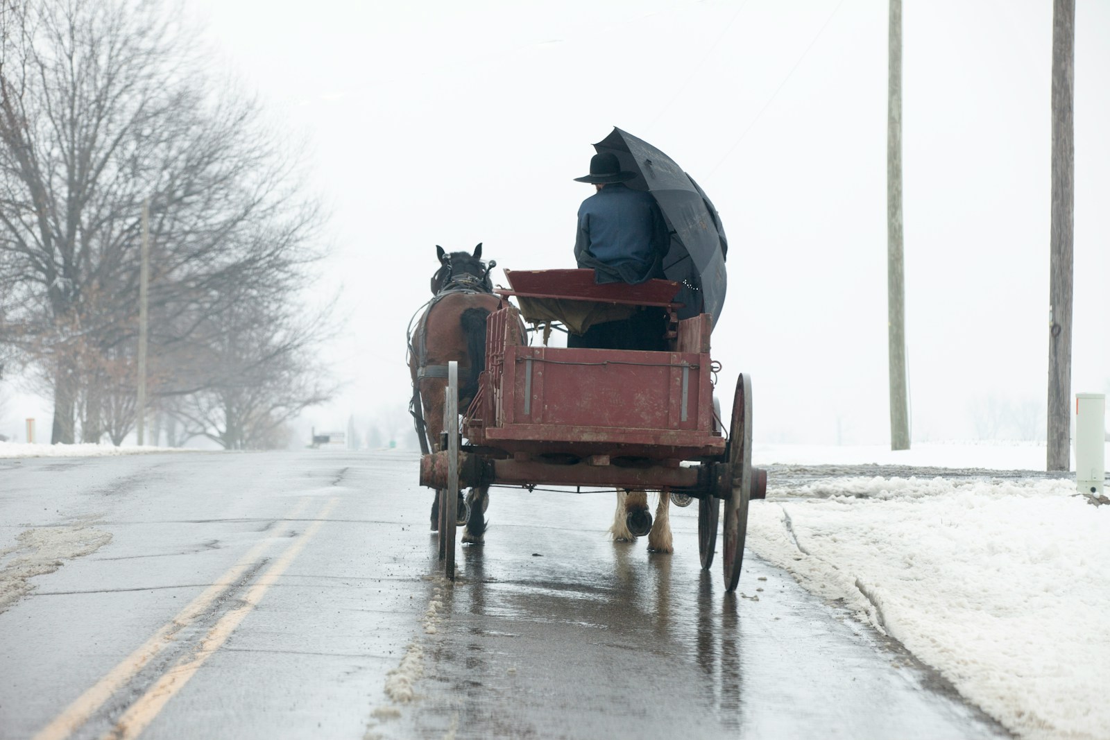 person riding on brown carriage