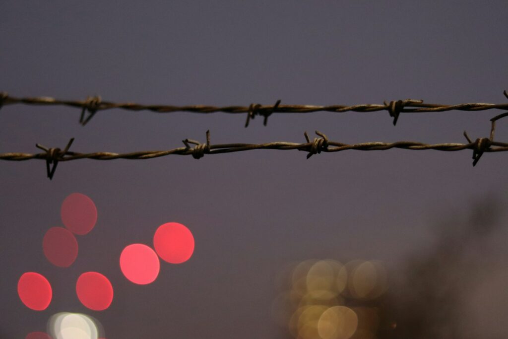 gray barb wire