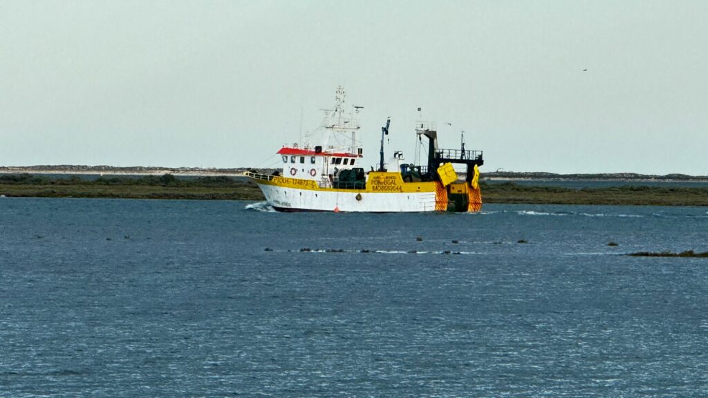 a yellow and white boat in a body of water