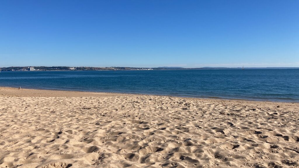 a sandy beach with a body of water in the background