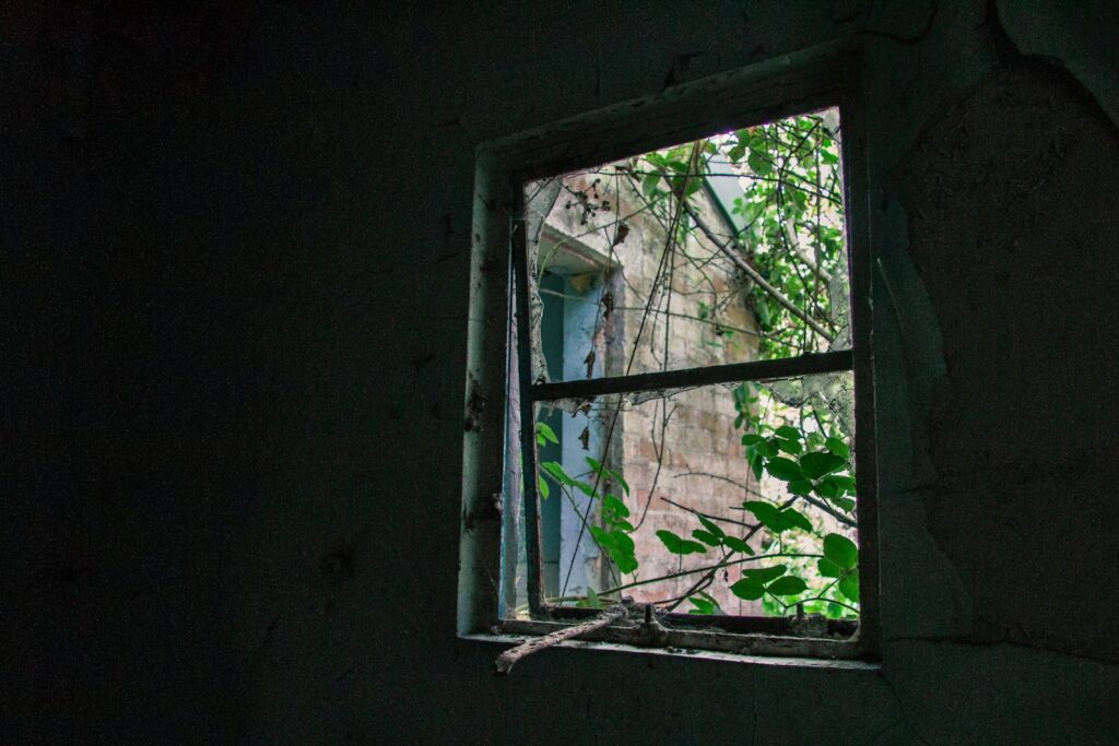 rectangular brown wooden framed window at daytime