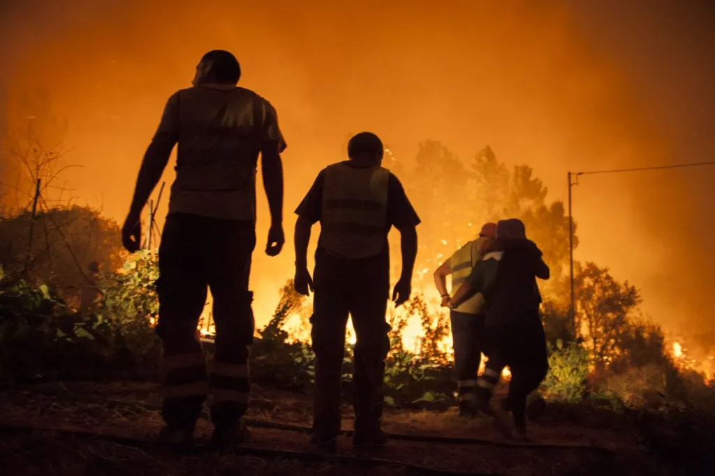 Incêndios: O que é preciso mudar (para que não fique tudo na mesma)