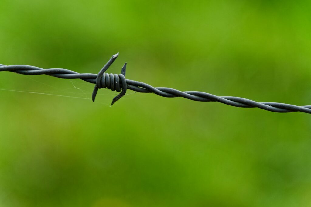 A close up of a barbed wire with a blurry background