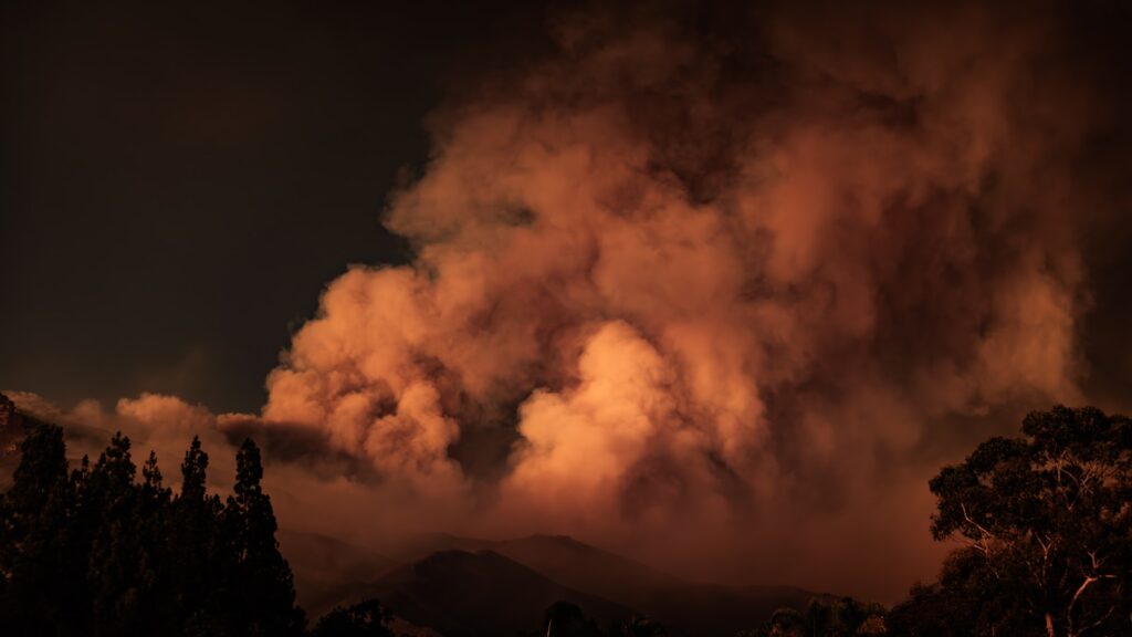 A large plume of smoke rising from a forest