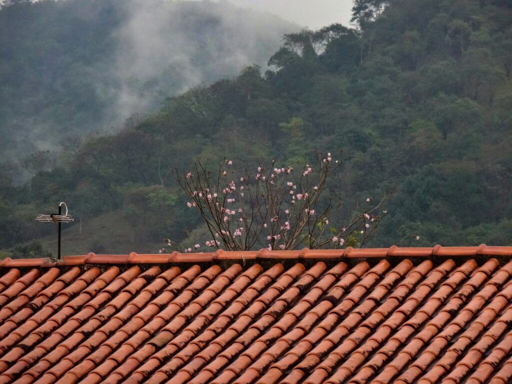 a bird is sitting on the roof of a house